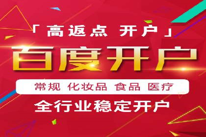 百度推广优化策略：成功案例解析